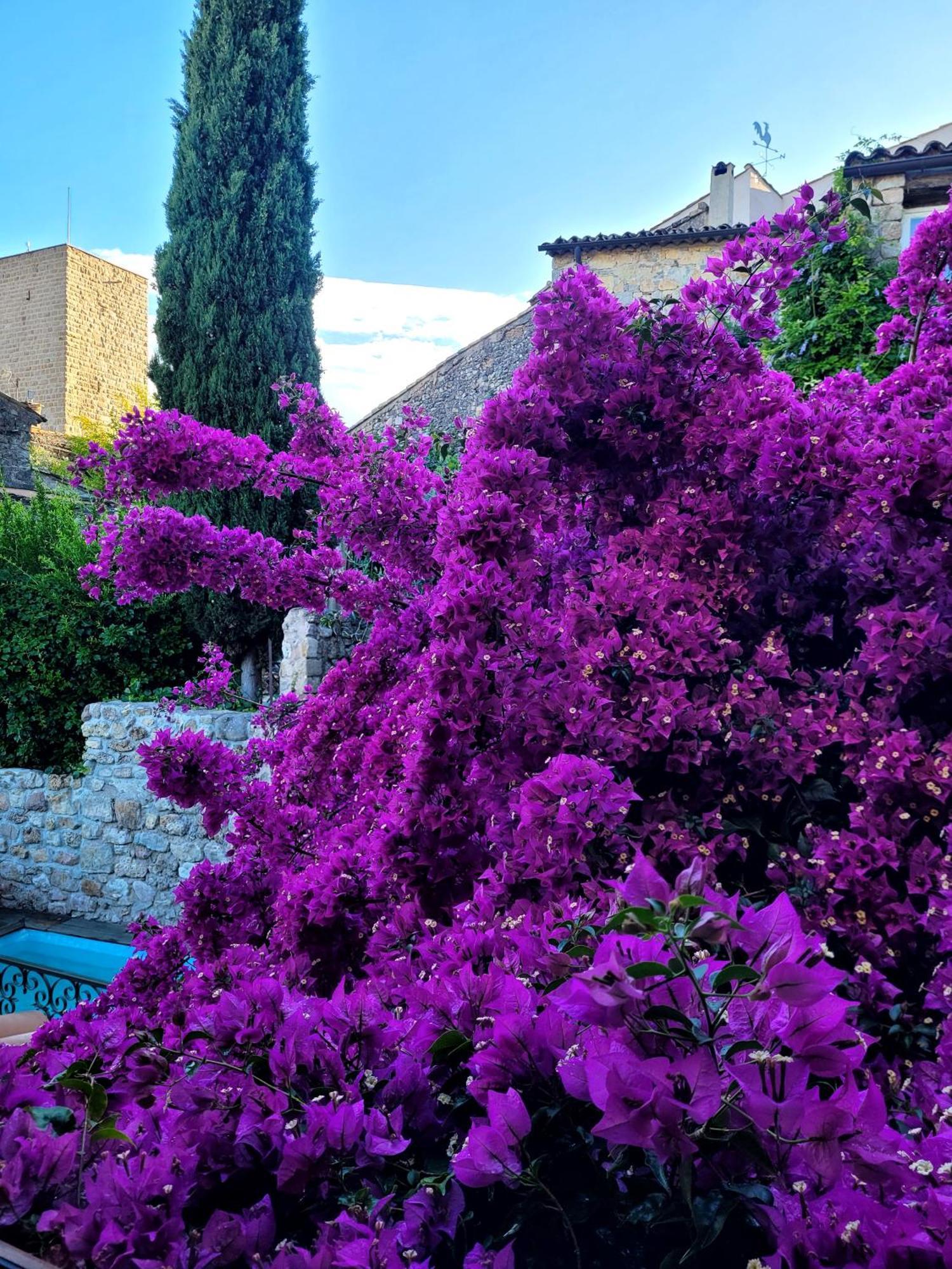 Villa Arca Les Arcs-sur-Argens Eksteriør bilde